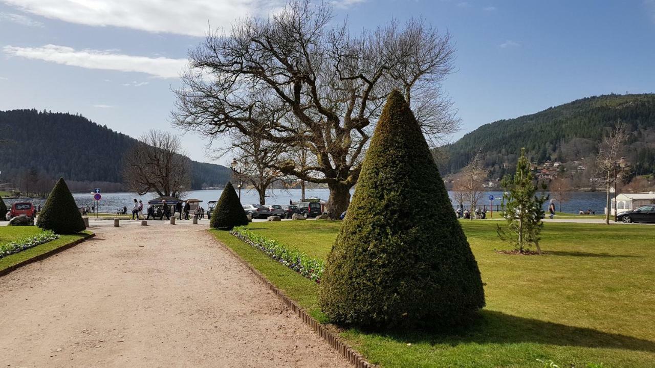 F2 Sur Les Hauteurs De Appartement Gérardmer